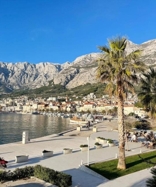 Apartman Magnolia Makarska Extérieur photo